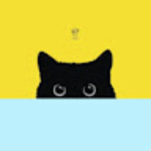 Meet your Posher, Ariana